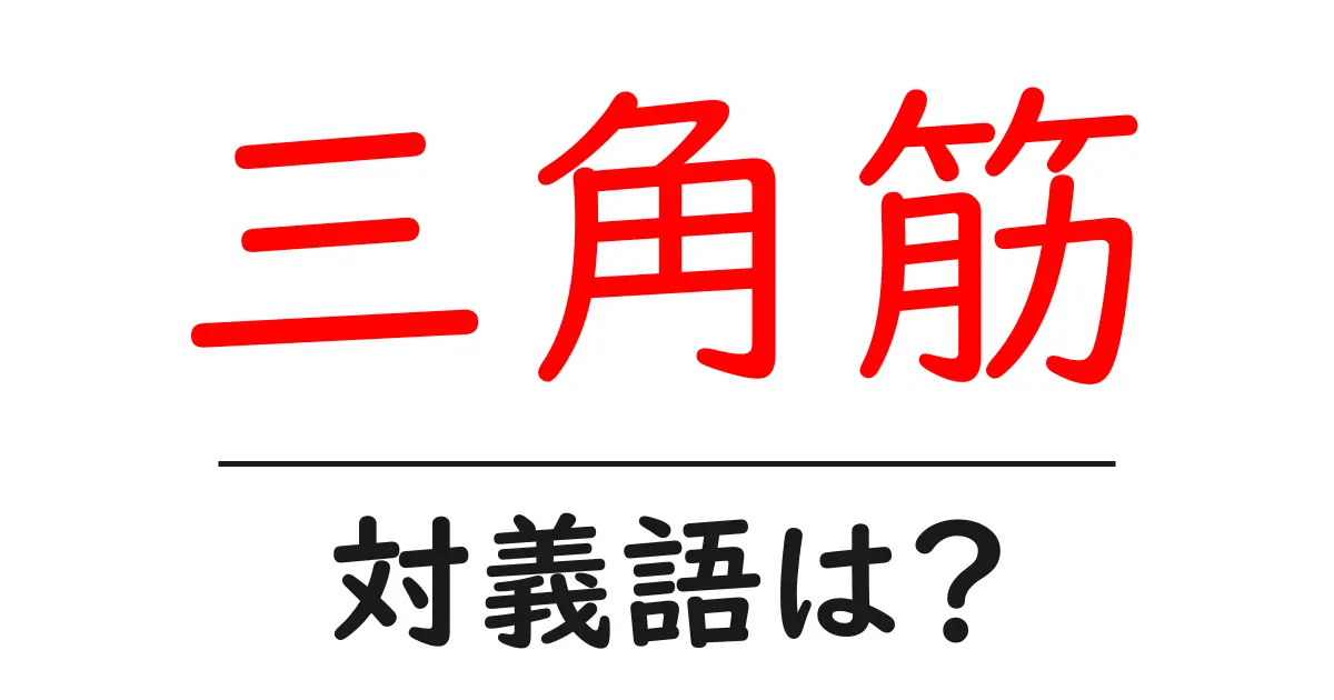 三角筋の対義語・反対語を使用例を交えて分かりやすく解説!