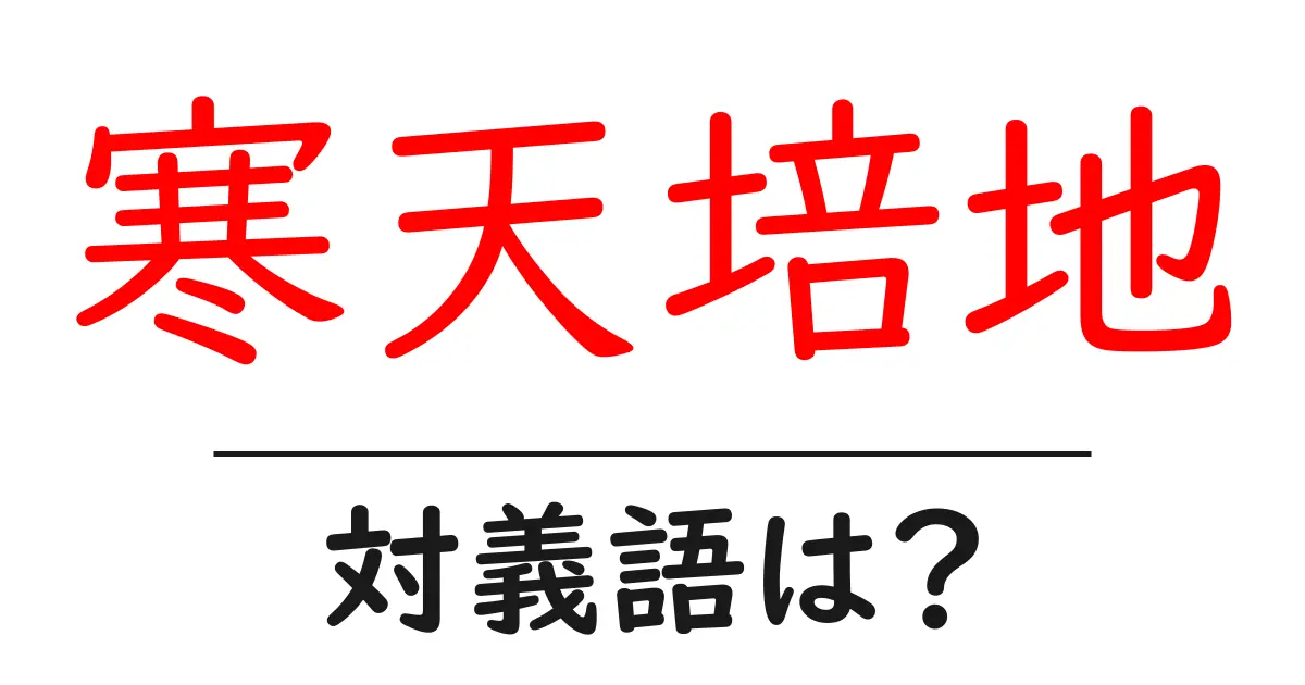 寒天培地の対義語・反対語を使用例を交えて分かりやすく解説!