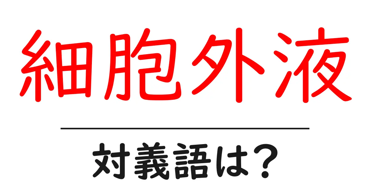 細胞外液の対義語・反対語を使用例を交えて分かりやすく解説!