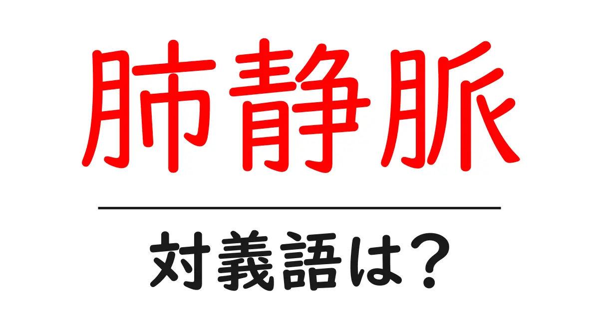 肺静脈の対義語・反対語を使用例を交えて分かりやすく解説!