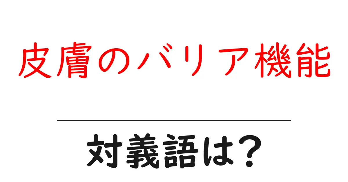 皮膚のバリア機能の対義語・反対語を使用例を交えて分かりやすく解説!