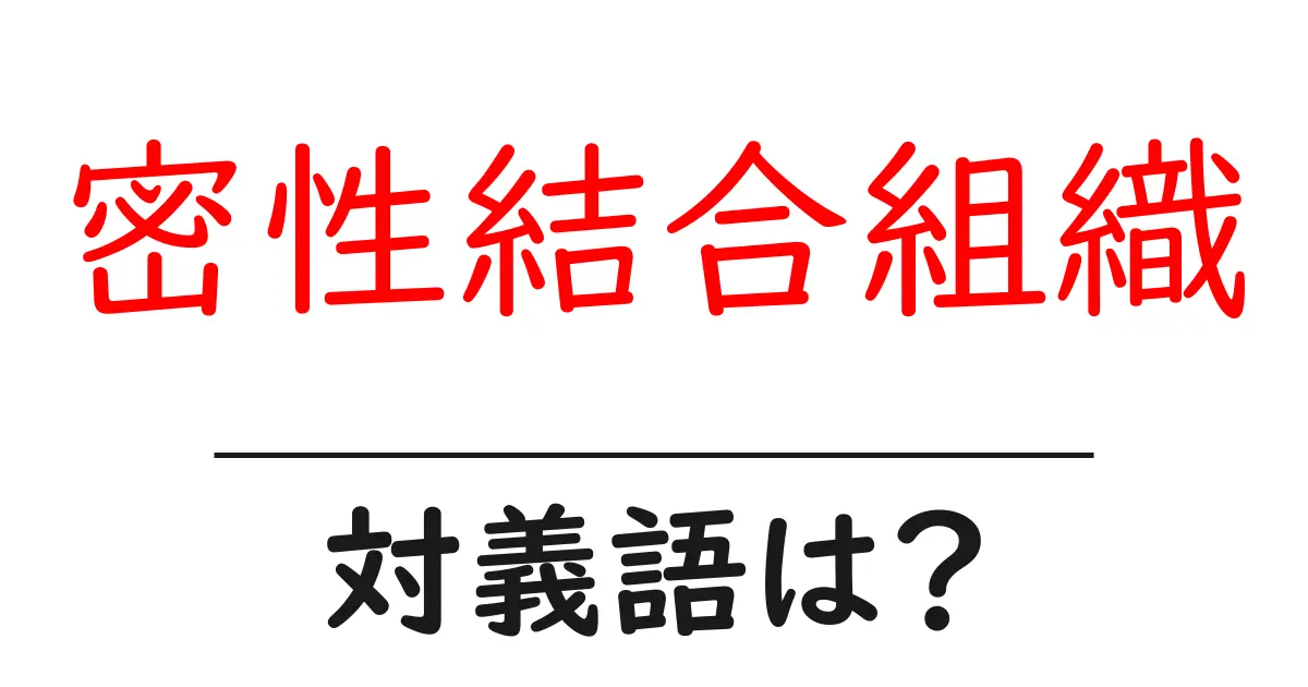 密性結合組織の対義語・反対語を使用例を交えて分かりやすく解説!