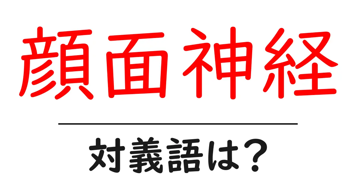 顔面神経の対義語・反対語を使用例を交えて分かりやすく解説!