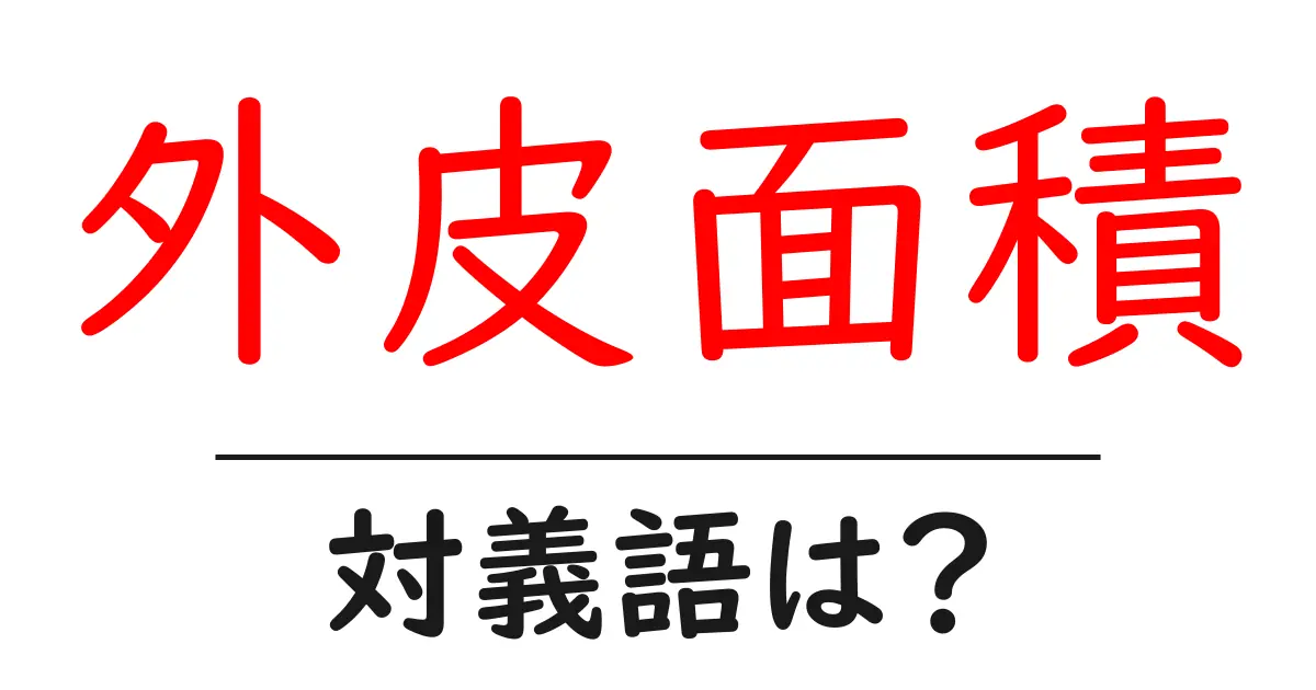 外皮面積の対義語・反対語を使用例を交えて分かりやすく解説!