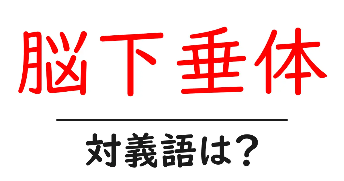 脳下垂体の対義語・反対語を使用例を交えて分かりやすく解説!