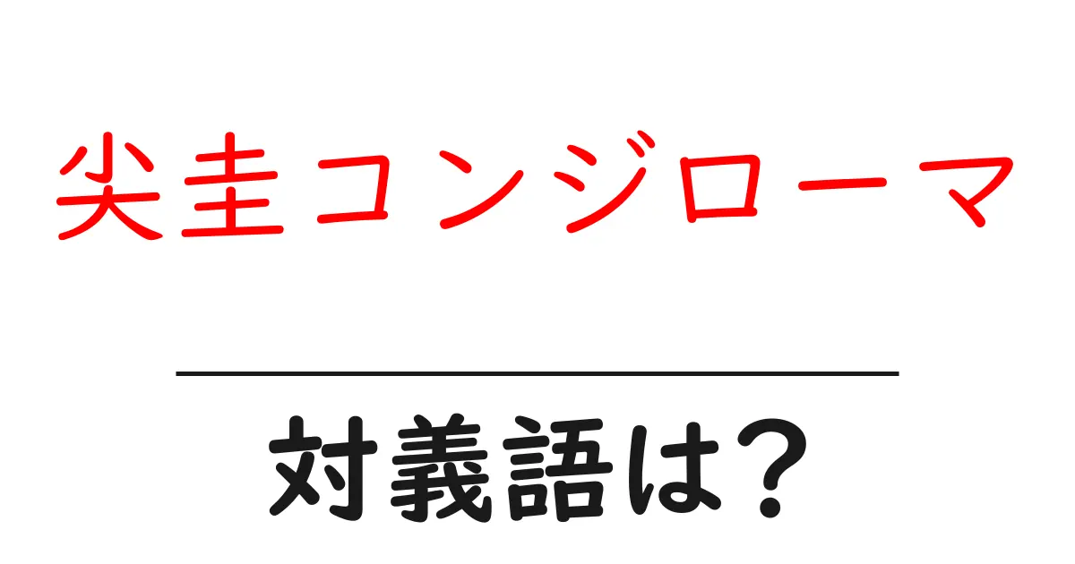 尖圭コンジローマの対義語・反対語を使用例を交えて分かりやすく解説！