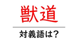 獣道の対義語・反対語を使用例を交えて分かりやすく解説！