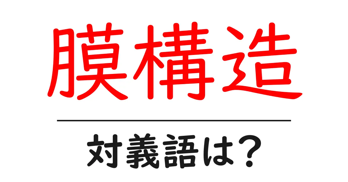 膜構造の対義語・反対語を使用例を交えて分かりやすく解説!