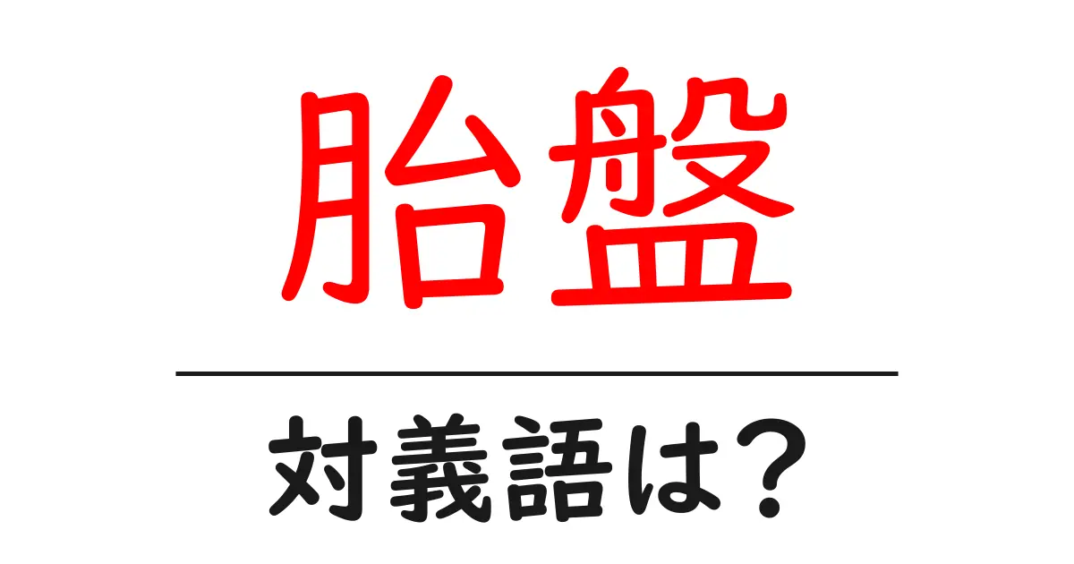 胎盤の対義語・反対語を使用例を交えて分かりやすく解説！