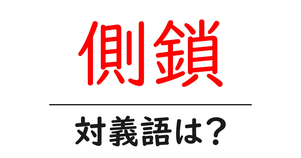 側鎖の対義語・反対語を使用例を交えて分かりやすく解説！