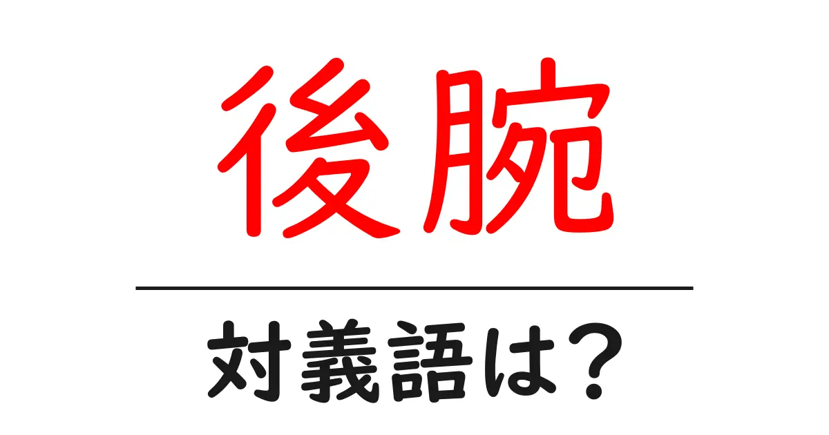 後腕の対義語・反対語を使用例を交えて分かりやすく解説!