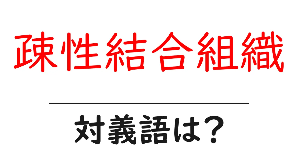 疎性結合組織の対義語・反対語を使用例を交えて分かりやすく解説!