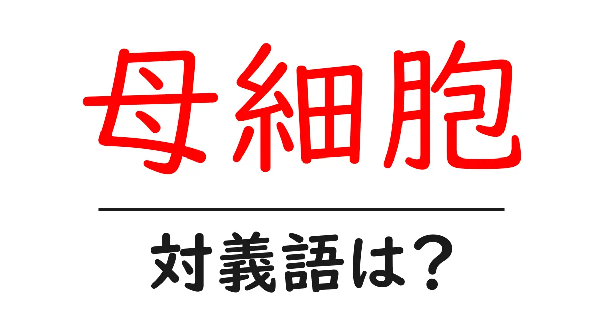 母細胞の対義語・反対語を使用例を交えて分かりやすく解説!