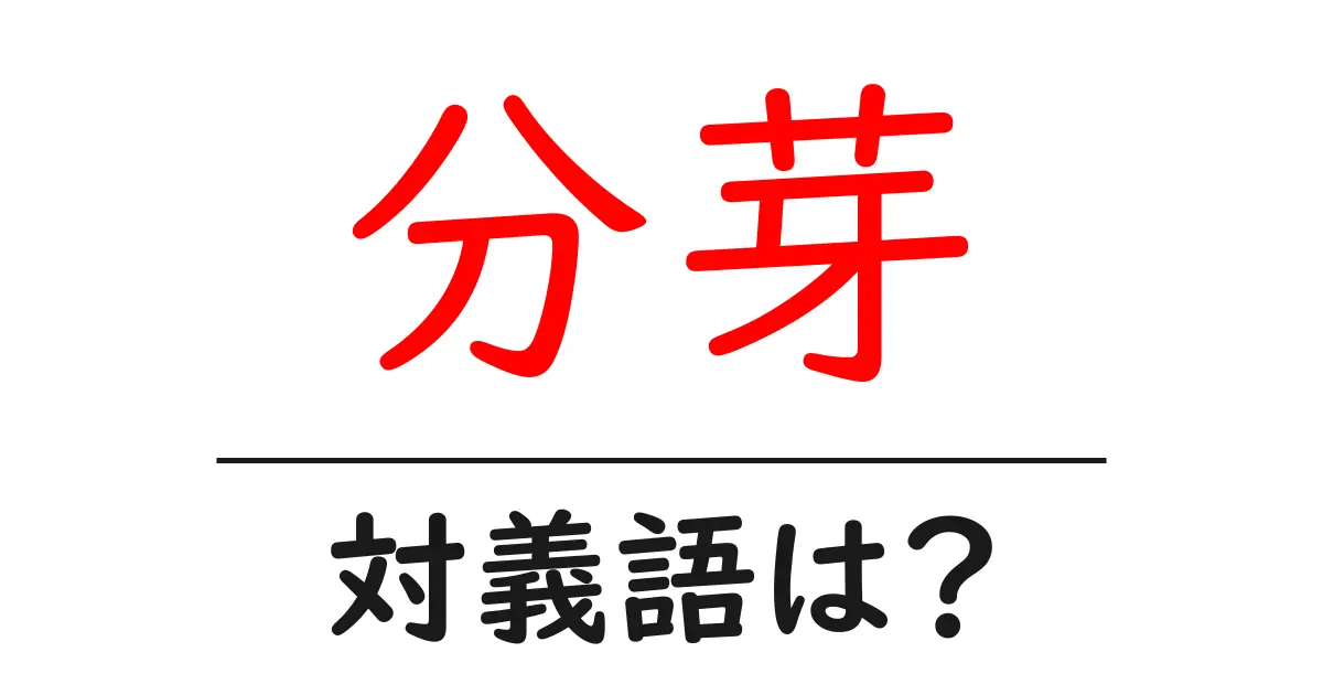 分芽の対義語・反対語を使用例を交えて分かりやすく解説!