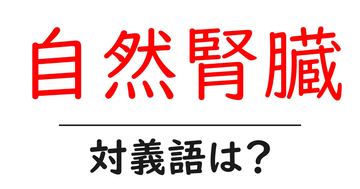 自然腎臓の対義語・反対語を使用例を交えて分かりやすく解説！