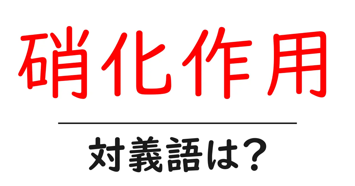 硝化作用の対義語・反対語を使用例を交えて分かりやすく解説！