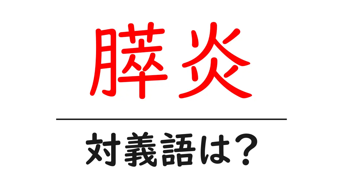膵炎の対義語・反対語を使用例を交えて分かりやすく解説！
