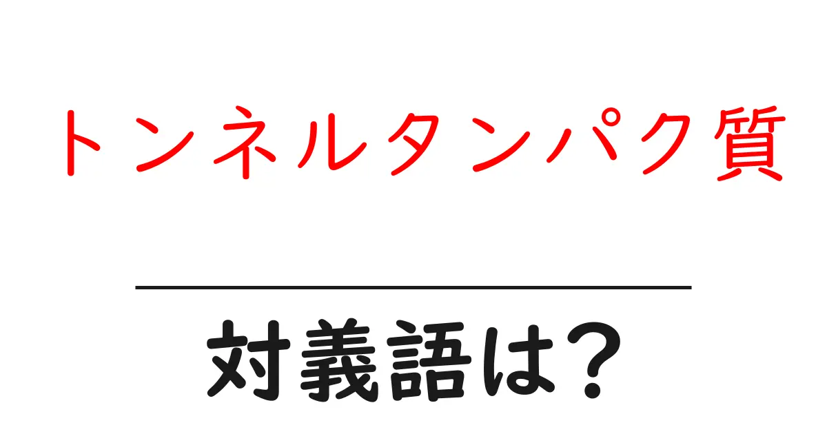 トンネルタンパク質の対義語・反対語を使用例を交えて分かりやすく解説!