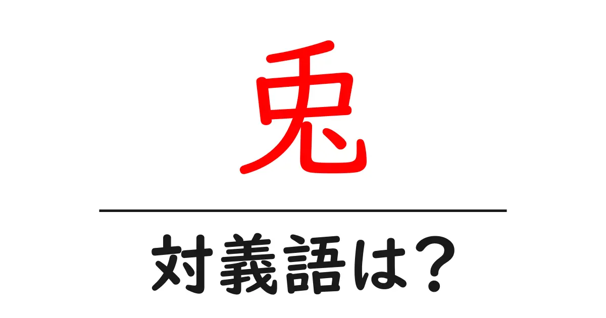 兎の対義語・反対語を使用例を交えて分かりやすく解説!