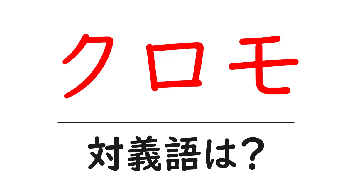 クロモの対義語・反対語を使用例を交えて分かりやすく解説!
