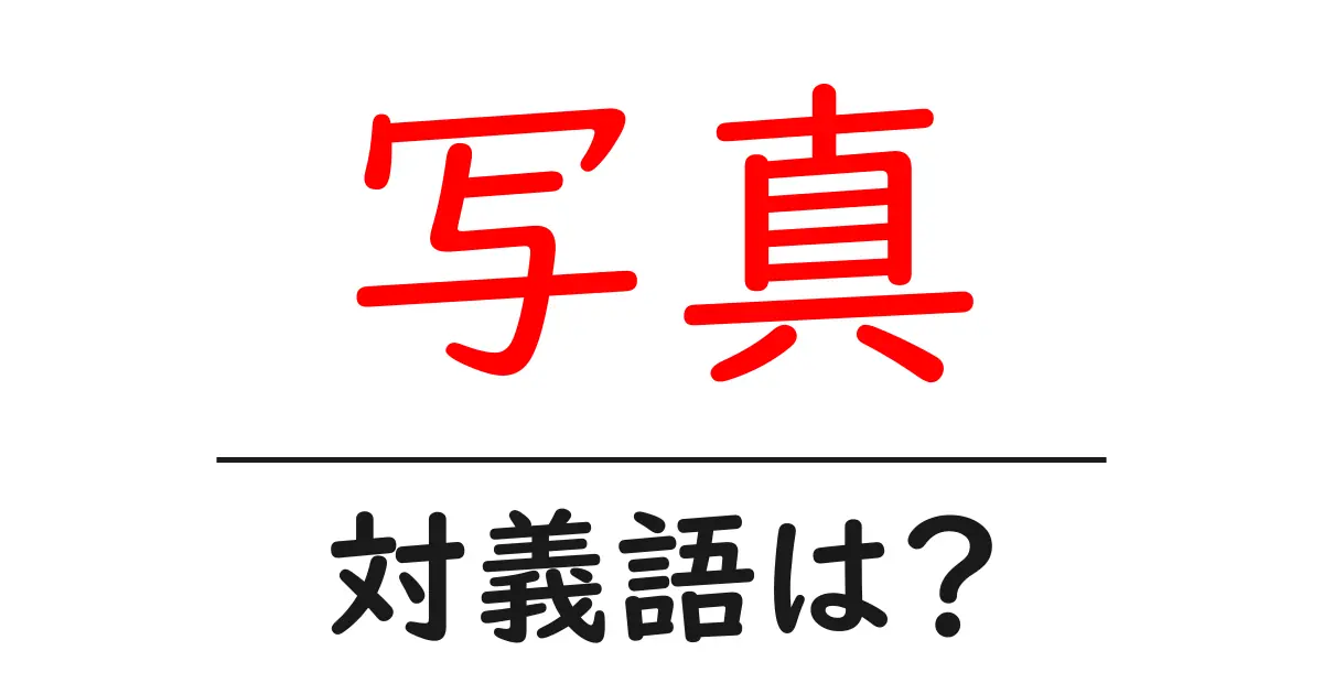 写真の対義語・反対語を使用例を交えて分かりやすく解説!