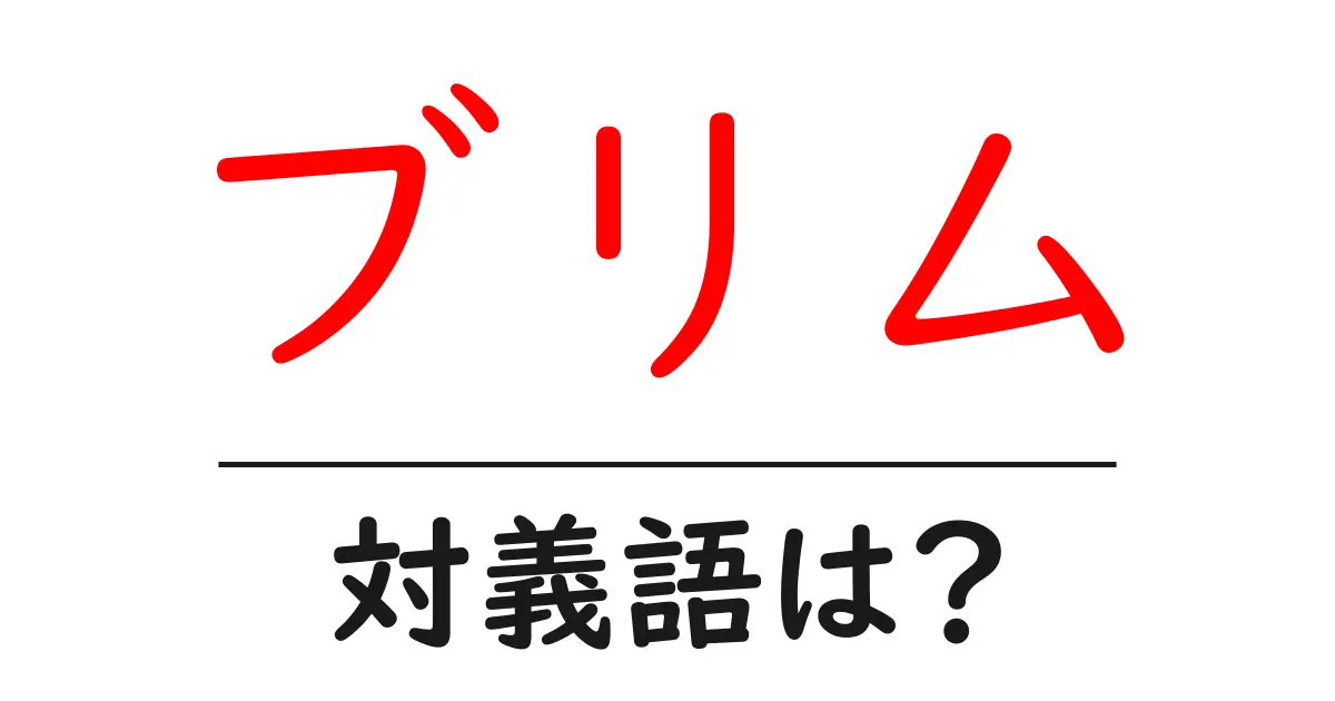 ブリムの対義語・反対語を使用例を交えて分かりやすく解説!