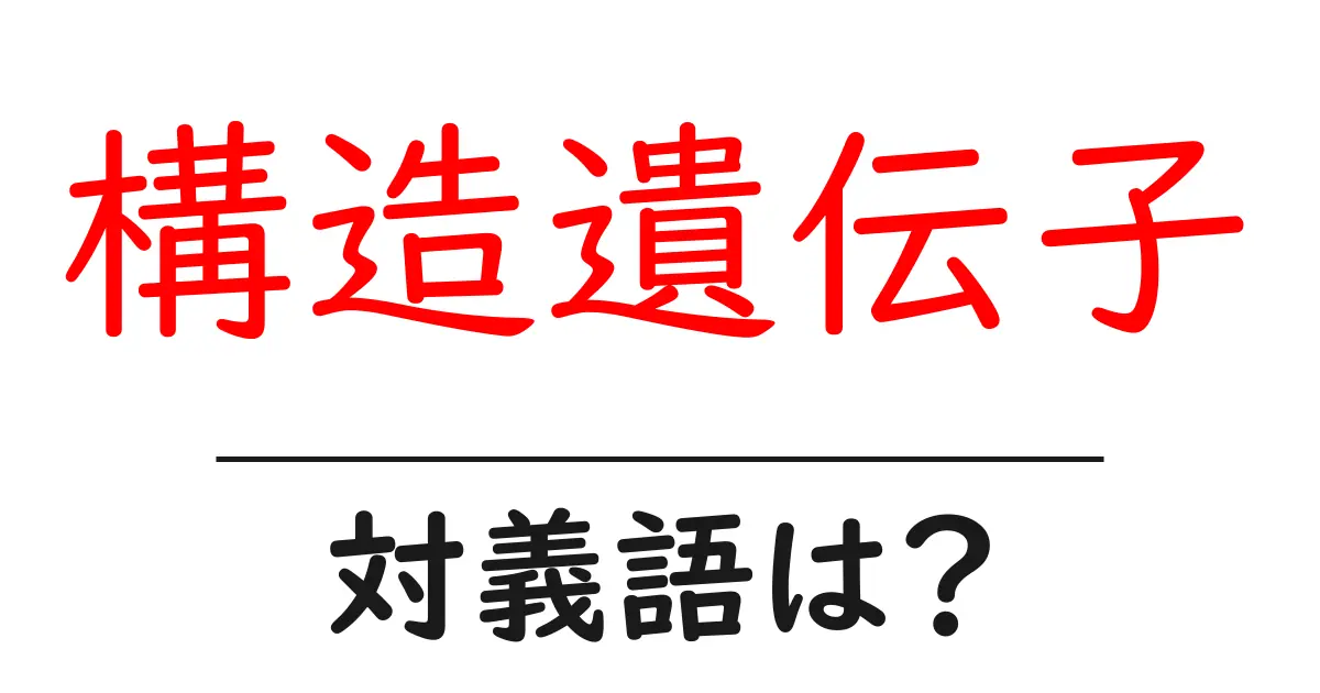 構造遺伝子の対義語・反対語を使用例を交えて分かりやすく解説！