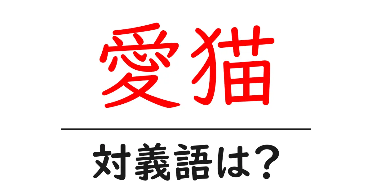 愛猫の対義語・反対語を使用例を交えて分かりやすく解説!