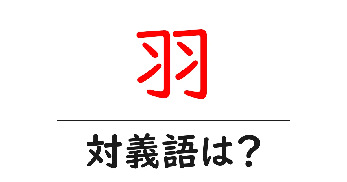 羽の対義語・反対語を使用例を交えて分かりやすく解説！