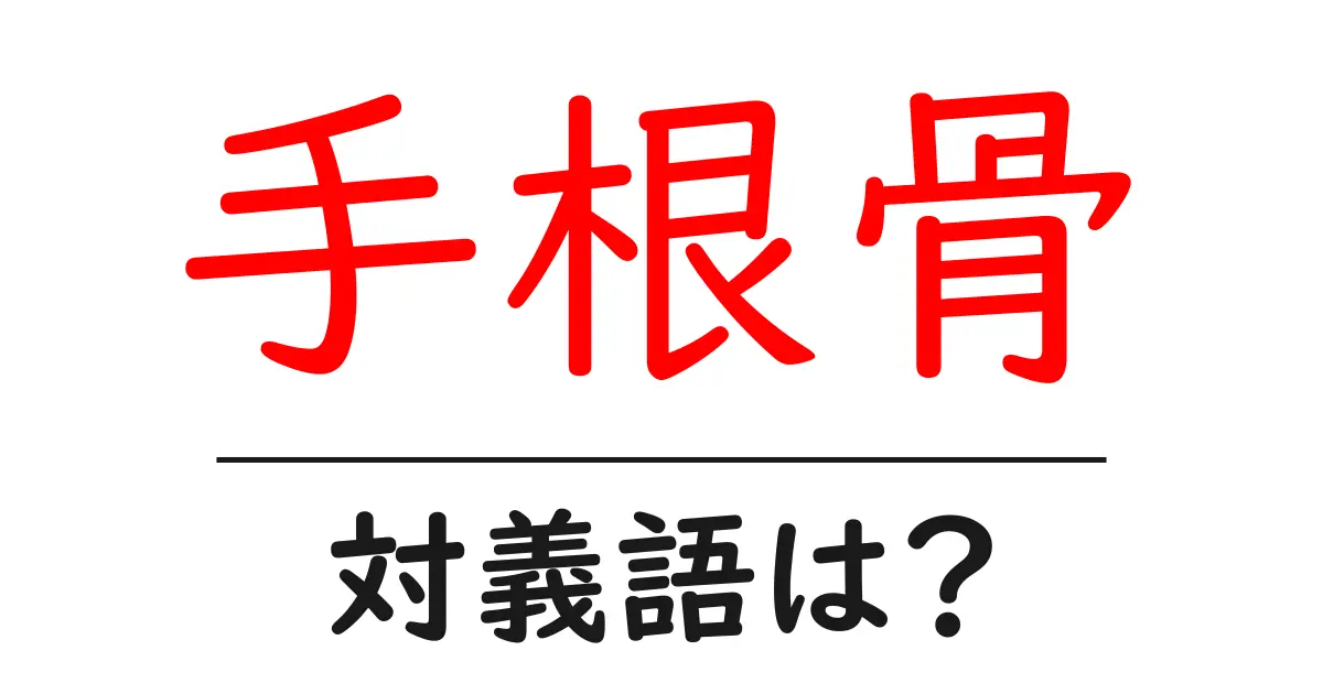 手根骨の対義語・反対語を使用例を交えて分かりやすく解説!