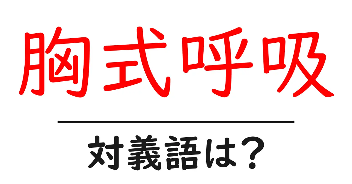 胸式呼吸の対義語・反対語を使用例を交えて分かりやすく解説!