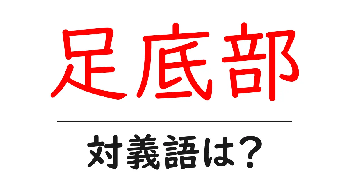 足底部の対義語・反対語を使用例を交えて分かりやすく解説！