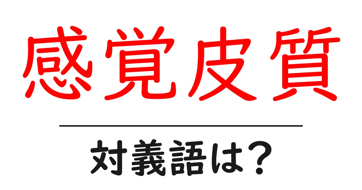 感覚皮質の対義語・反対語を使用例を交えて分かりやすく解説！