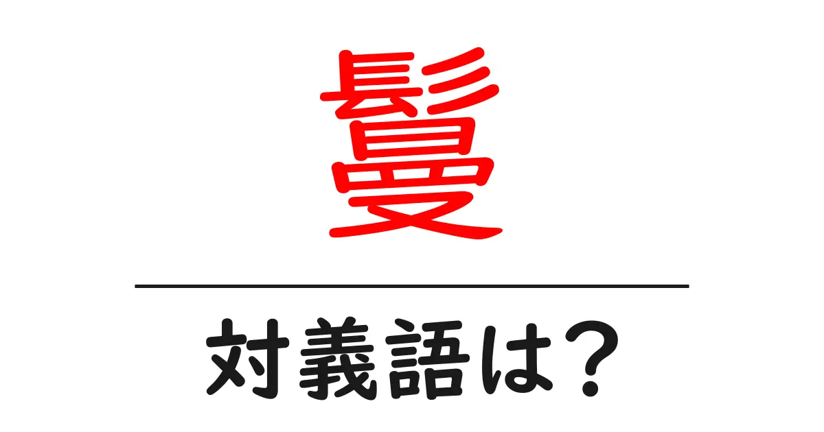 鬘の対義語・反対語を使用例を交えて分かりやすく解説!