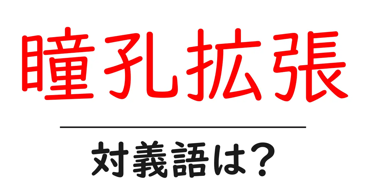 瞳孔拡張の対義語・反対語を使用例を交えて分かりやすく解説！