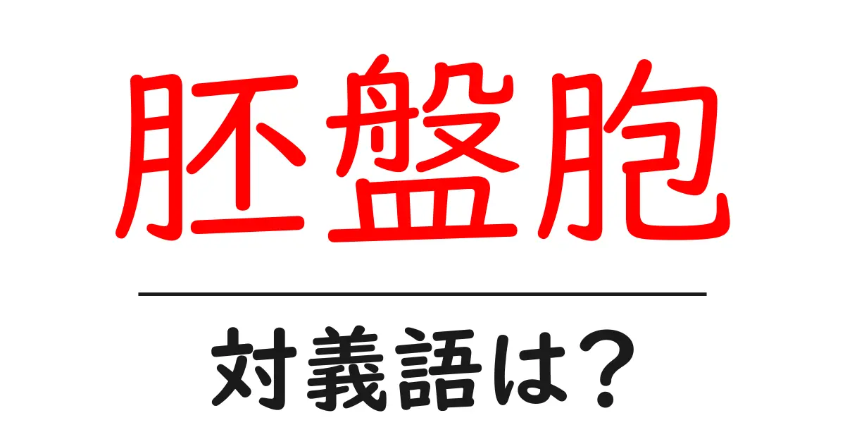 胚盤胞の対義語・反対語を使用例を交えて分かりやすく解説!