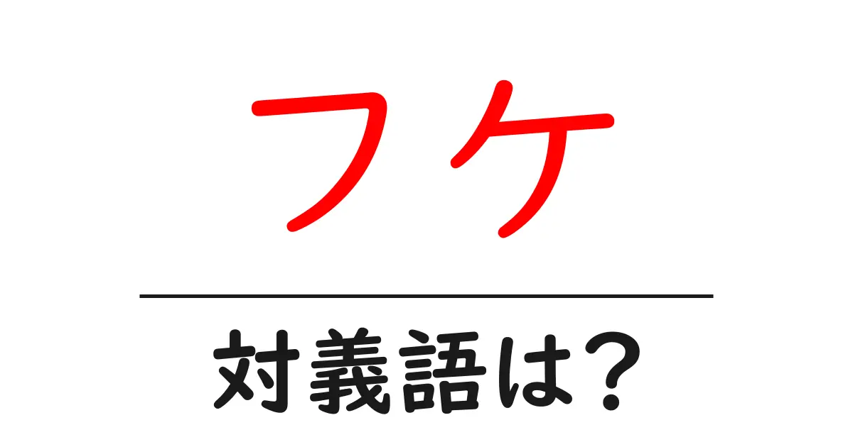 フケの対義語・反対語を使用例を交えて分かりやすく解説!