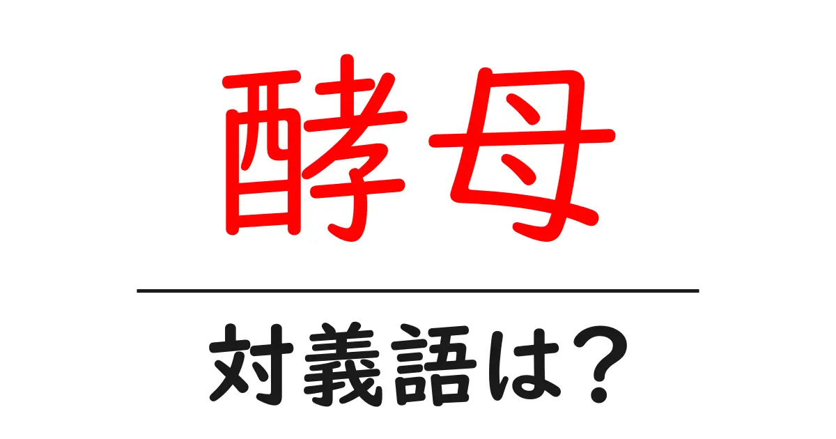 酵母の対義語・反対語を使用例を交えて分かりやすく解説！