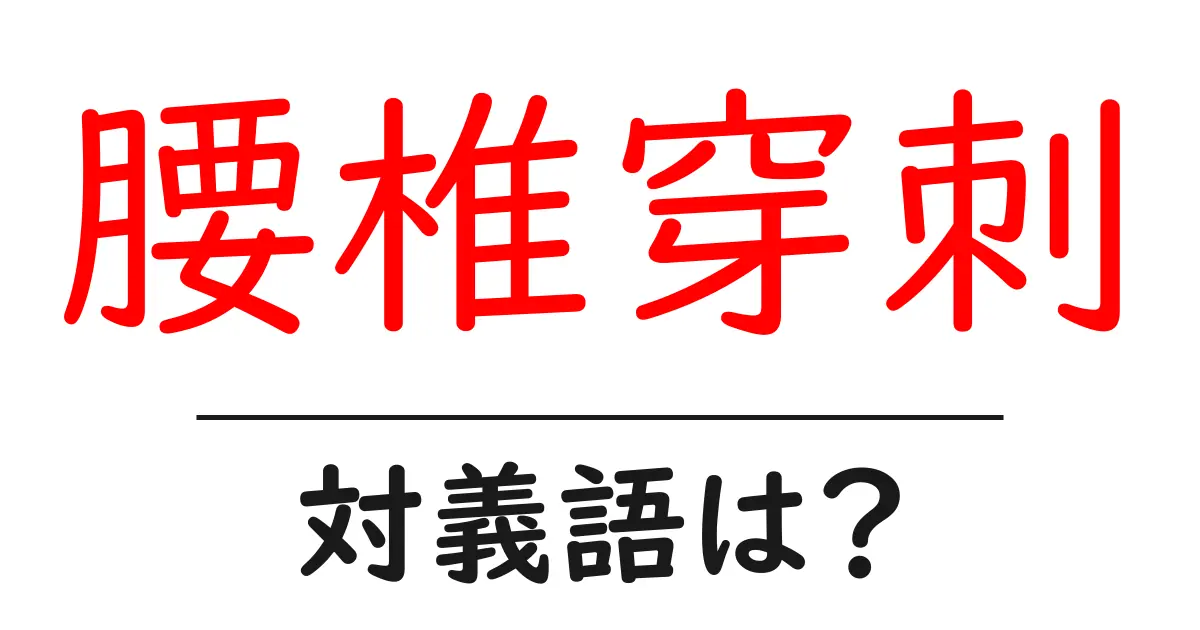 腰椎穿刺の対義語・反対語を使用例を交えて分かりやすく解説！