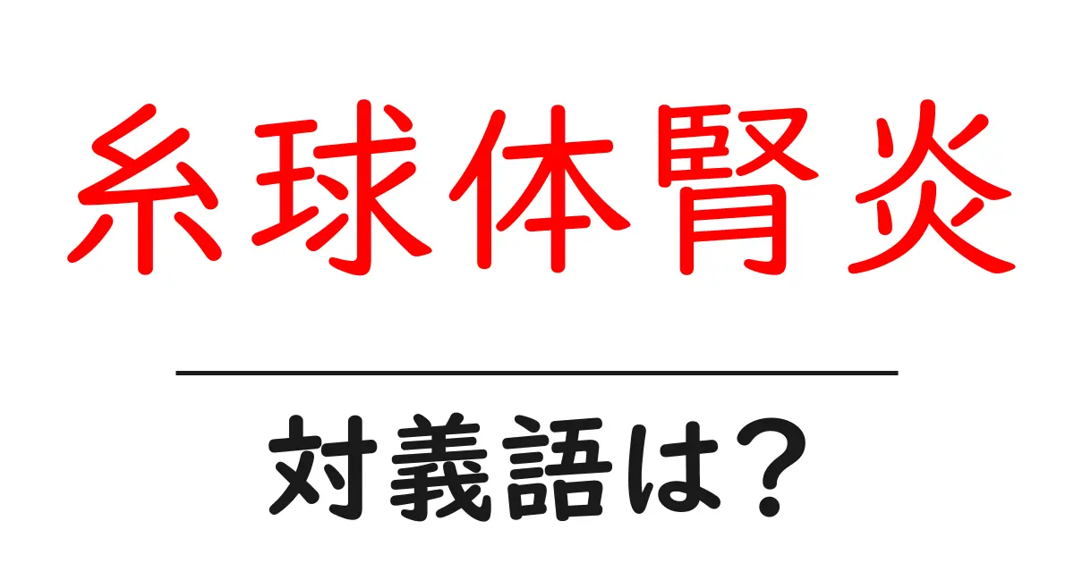 糸球体腎炎の対義語・反対語を使用例を交えて分かりやすく解説！