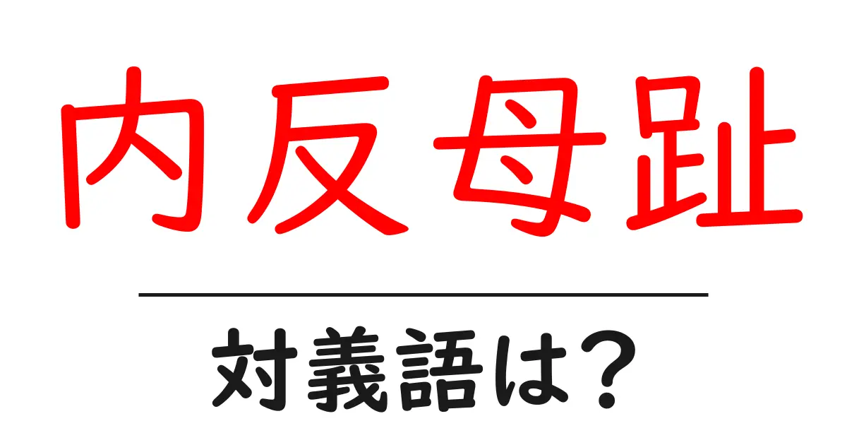 内反母趾の対義語・反対語を使用例を交えて分かりやすく解説!
