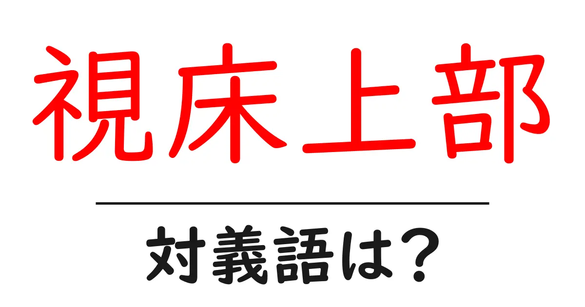 視床上部の対義語・反対語を使用例を交えて分かりやすく解説!