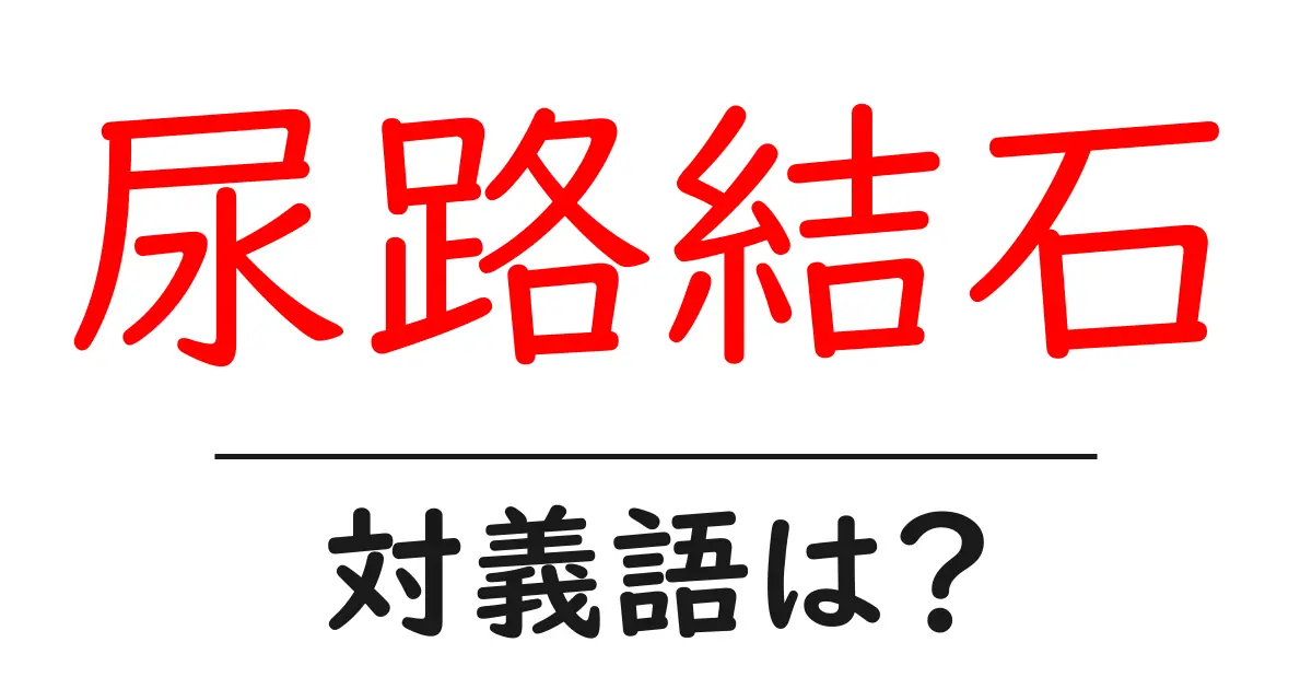 尿路結石の対義語・反対語を使用例を交えて分かりやすく解説!