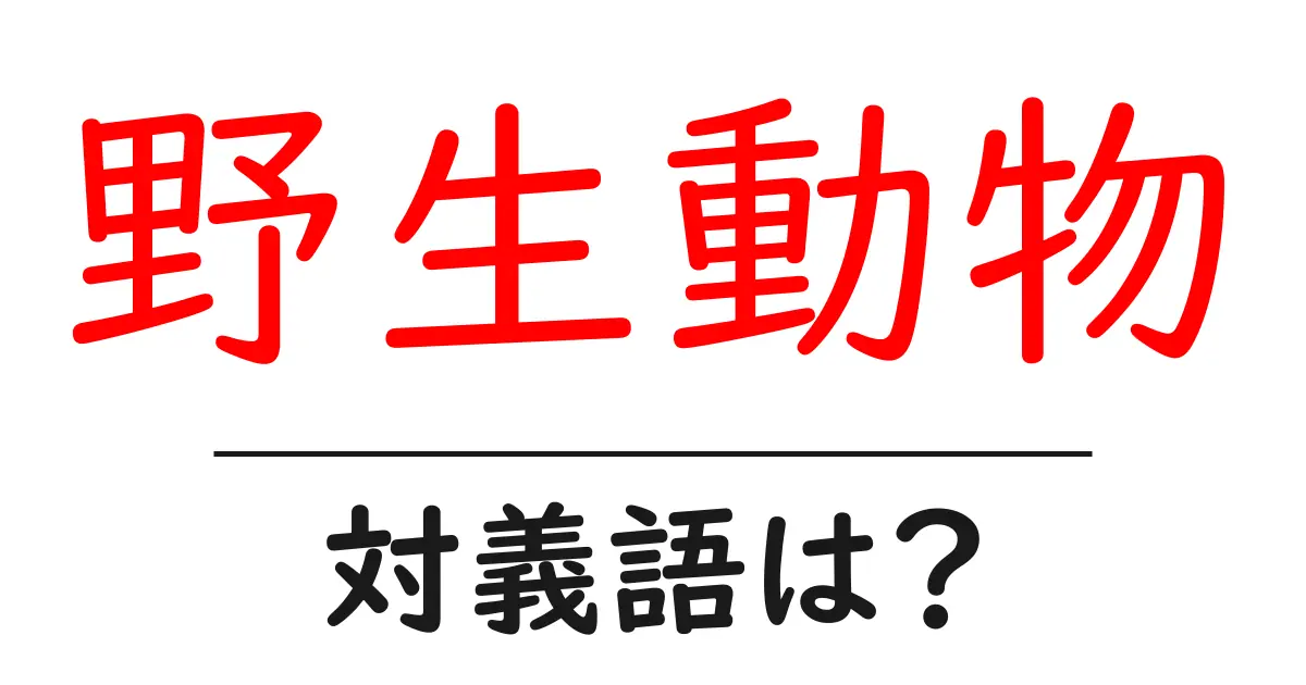 野生動物の対義語・反対語を使用例を交えて分かりやすく解説!