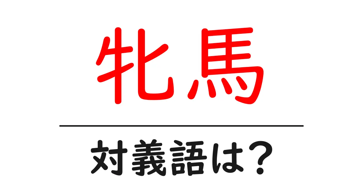 牝馬の対義語・反対語を使用例を交えて分かりやすく解説!
