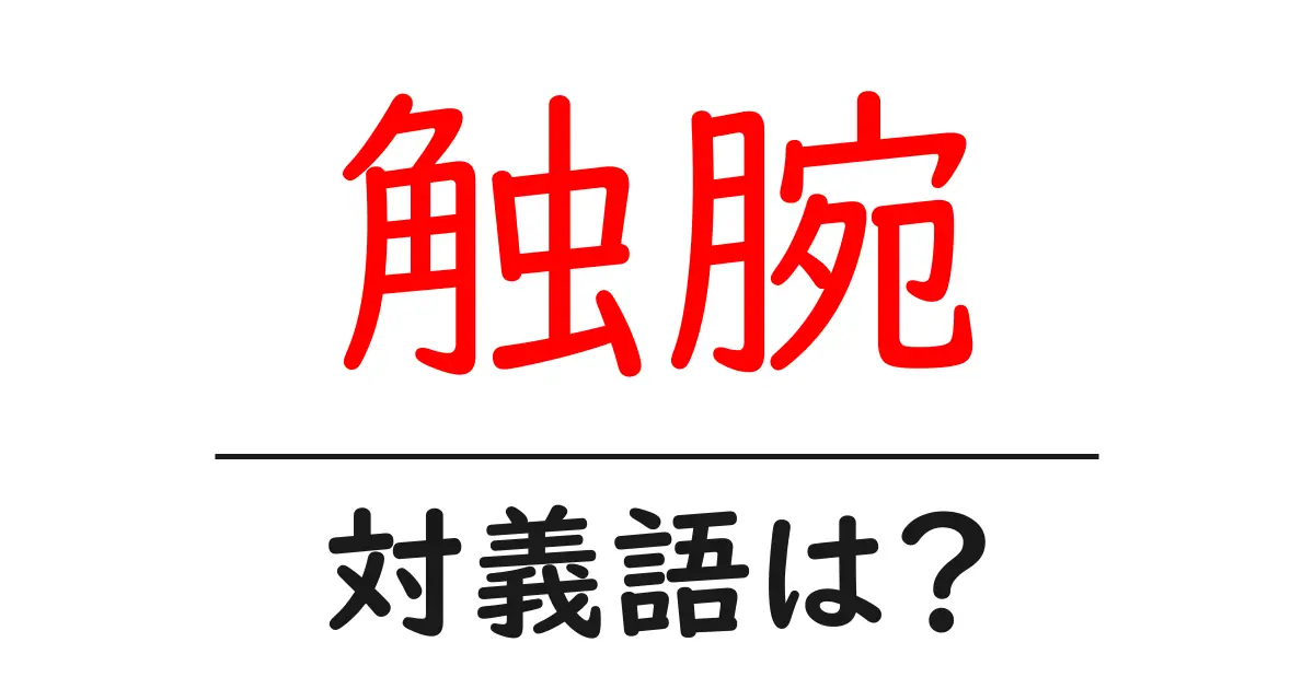 触腕の対義語・反対語を使用例を交えて分かりやすく解説！