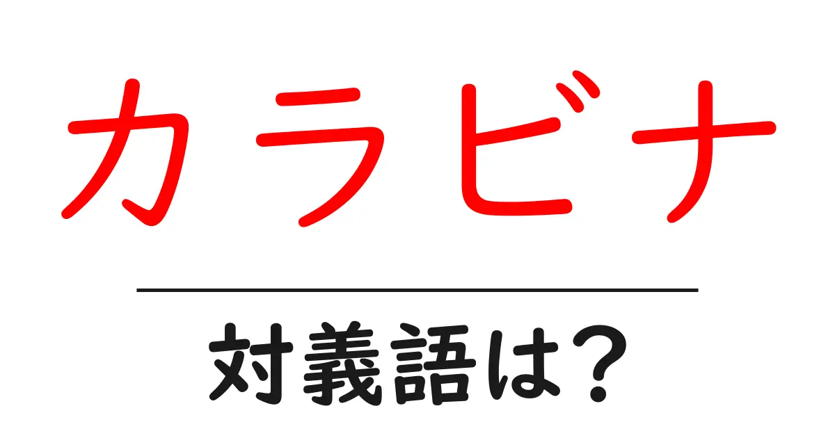 カラビナの対義語・反対語を使用例を交えて分かりやすく解説!