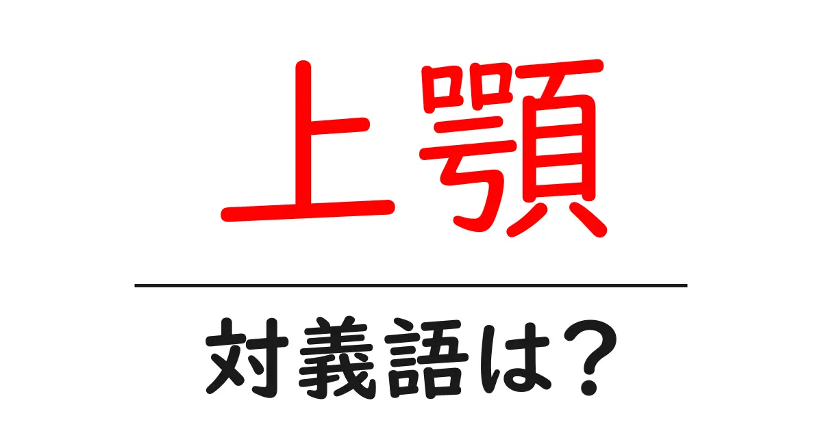 上顎の対義語・反対語を使用例を交えて分かりやすく解説!