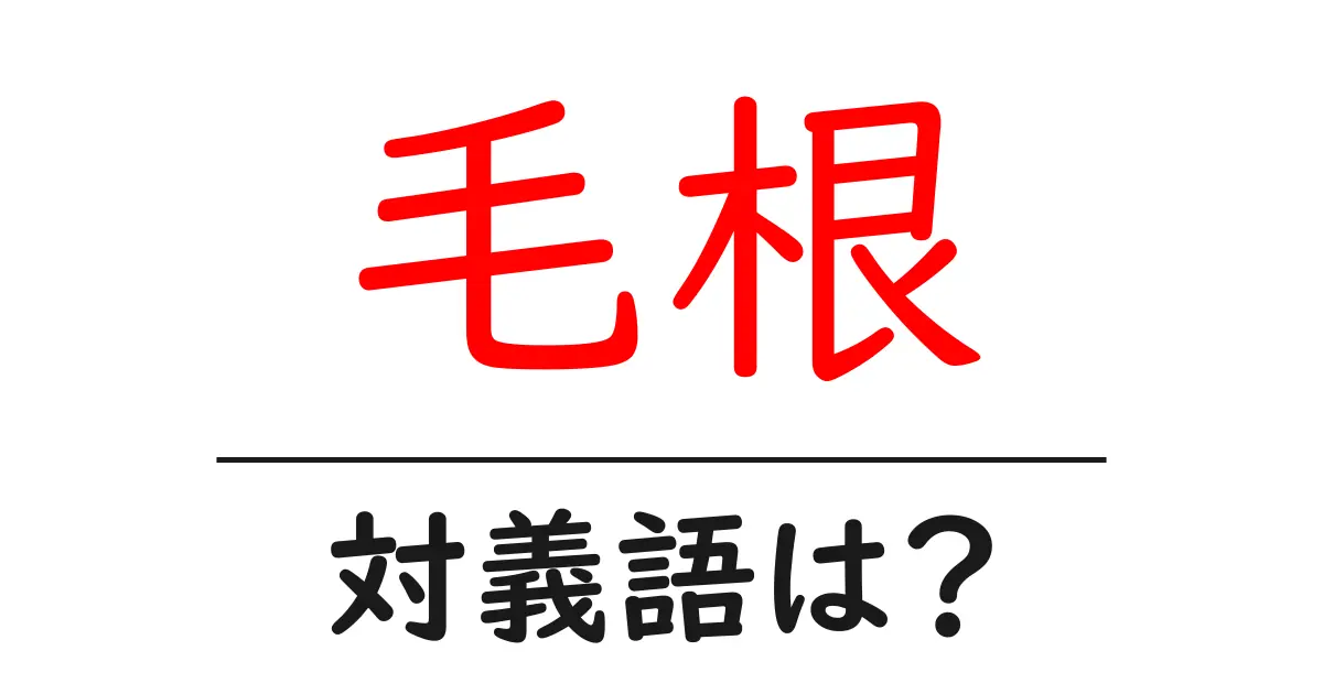 毛根の対義語・反対語を使用例を交えて分かりやすく解説！