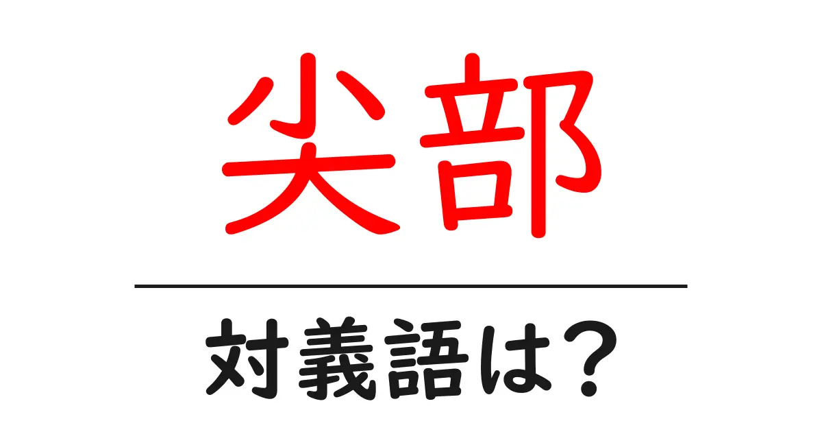 尖部の対義語・反対語を使用例を交えて分かりやすく解説!
